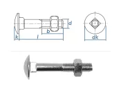 M10 x 50mm Torbandschrauben DIN603 Stahl verzinkt (1 Stk.)