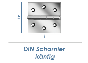 60 x 60mm Scharnier Edelstahl (1 Stk.)