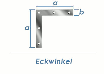 250 x 30mm Eckwinkel verzinkt (1 Stk.)