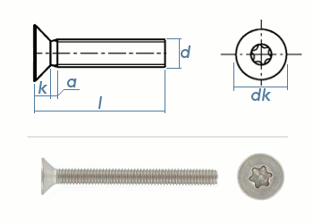 M3 x 5mm Senkschrauben TX ISO14581 Edelstahl A2 (100 Stk.)