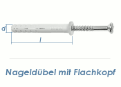 6 x 40mm Nageld&uuml;bel m. Flachkopf  (10 Stk.)