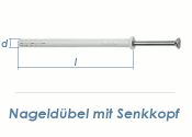 8 x 80mm Nageldübel m. Senkkopf (10 Stk.)