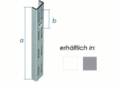 1000 x 50mm Wandschiene 2-reihig weiss (1 Stk.)