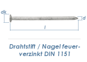 3,1 x 80mm Drahtstifte feuerverzinkt (2,5kg Paket)