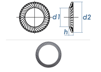 M4 Schnorr® Sicherungsscheibe rostbeständig (10 Stk.)