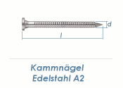 4 x 60mm Kamm Nägel Edelstahl A2 (10 Stk.)