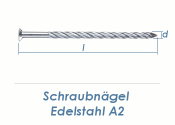 3,1 x 60mm Schraubnägel Edelstahl A2 (10 Stk.)