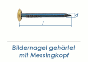 2 x 25mm Bildernagel gehärtet mit Messingkopf (10 Stk.)