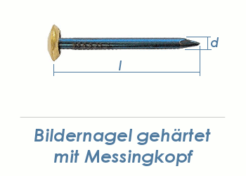 2 x 30mm Bildernagel gehärtet mit Messingkopf (10 Stk.)