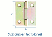 51 x 37mm Scharnier halbbreit gelb verzinkt (1 Stk.)