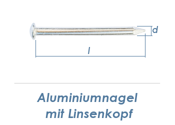 2,8 x 45mm Aluminiumn&auml;gel Linsenkopf  (10 Stk.)