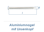 2,8 x 45mm Aluminiumnägel Linsenkopf  (10 Stk.)