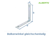 120 x 120 x 20mm Balkenwinkel gleichschenklig verzinkt (1...