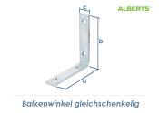 100 x 100 x 20mm Balkenwinkel gleichschenklig verzinkt (1...