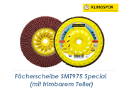 125mm Fächerscheibe K40 gewölbt 6° mit...