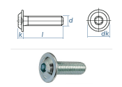 M10 x 20mm Linsenflachkopfschraube m. Flansch ISK...