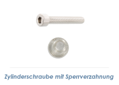 M8 x 40mm Zylinderschrauben ähnl. DIN912 Edelstahl...