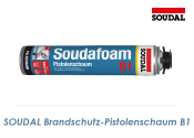 1K Brandschutz - Pistolenschaum B1 750ml (1 Stk.)