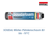 1K Winter - Pistolenschaum bis -10°C  B3 750ml (1 Stk.)