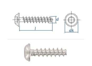 6 x 20mm Flachrundkopfschraube TX für Thermoplaste Edelstahl A2 (10 Stk.)