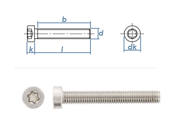 M3 x 16mm Zylinderschrauben TX niedriger Kopf  ISO14580 Edelstahl A2 (10 Stk.)