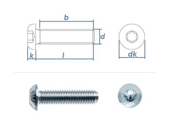 M8 x 25mm Linsenflachkopfschraube TX ISO7380-1 Stahl verzinkt FKL10.9 (10 Stk.)