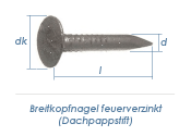 2,5 x 25mm Dachpappstifte feuerverzinkt (100g = ca. 100Stk.)
