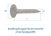 2,8 x 30mm Dachpappstifte feuerverzinkt (100g = ca. 68Stk.)
