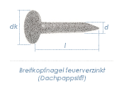 2,8 x 35mm Dachpappstifte feuerverzinkt (100g = ca. 59Stk.)