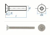 M3 x 10mm Senkschrauben TX ISO14581 Edelstahl A2  (100 Stk.)