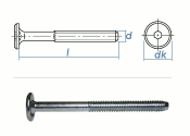 M6 x 25mm Zylinderkopfschrauben SW4 verzinkt (10 Stk.)