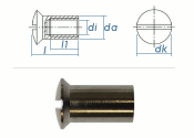 M4 x 20mm Hülsenmutter mit Linsensenkkopf Messing...