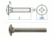 M5 x 20mm Torbandschrauben DIN603 Edelstahl A2 (10 Stk.)