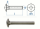 M8 x 55mm Torbandschrauben DIN603 Edelstahl A2 (1 Stk.)