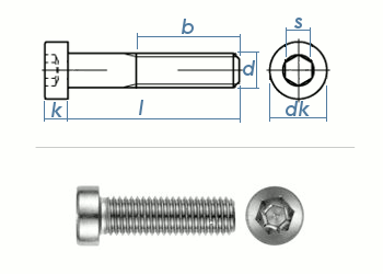 M8 x 16mm Zylinderschraube DIN7984 Edelstahl A2  (10 Stk.)